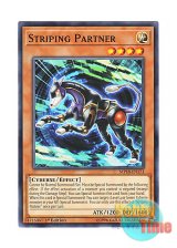 画像: 英語版 MP18-EN171 Striping Partner ストライピング・パートナー (ノーマル) 1st Edition