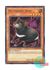 画像: 英語版 MP18-EN191 Desmanian Devil デスマニア・デビル (レア) 1st Edition