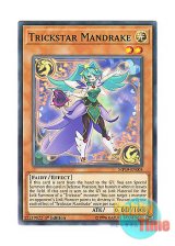 画像: 英語版 MP19-EN005 Trickstar Mandrake トリックスター・マンドレイク (ノーマル) 1st Edition