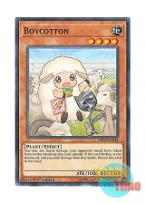 画像: 英語版 MP19-EN018 Boycotton ボイコットン (ノーマル) 1st Edition