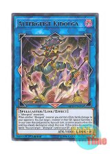 画像: 英語版 MP19-EN024 Altergeist Kidolga オルターガイスト・キードゥルガー (レア) 1st Edition