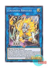 画像: 英語版 MP19-EN106 Crusadia Regulex レグレクス・パラディオン (ノーマル) 1st Edition