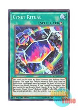 画像: 英語版 MP19-EN113 Cynet Ritual サイバネット・リチューアル (ノーマル) 1st Edition