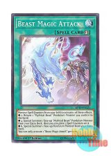 画像: 英語版 MP19-EN121 Beast Magic Attack 獣・魔・導 (ノーマル) 1st Edition