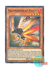 画像: 英語版 MP19-EN155 Salamangreat Falco 転生炎獣ファルコ (ノーマル) 1st Edition