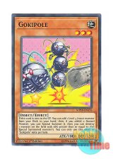 画像: 英語版 MP19-EN176 Gokipole ゴキポール (ノーマル) 1st Edition