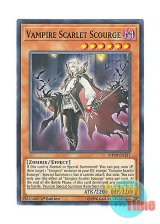 画像: 英語版 MP19-EN237 Vampire Scarlet Scourge ヴァンパイア・スカージレット (ノーマル) 1st Edition