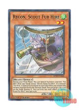 画像: 英語版 MP19-EN245 Recon, Scout Fur Hire 空牙団の飛哨 リコン (ノーマル) 1st Edition