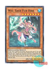 画像: 英語版 MP19-EN252 Wiz, Sage Fur Hire 空牙団の叡智 ウィズ (ノーマル) 1st Edition