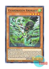 画像: 英語版 MP20-EN011 Guardragon Andrake 守護竜アンドレイク (ノーマル) 1st Edition