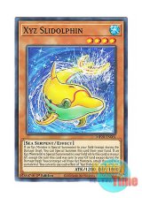 画像: 英語版 MP20-EN061 Xyz Slidolphin エクシーズ・スライドルフィン (ノーマル) 1st Edition