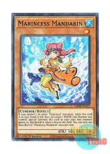 画像: 英語版 MP20-EN147 Marincess Mandarin 海晶乙女マンダリン (ノーマル) 1st Edition