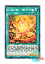 画像: 英語版 MP20-EN179 Salamangreat Burning Shell 転生炎獣の炎虞 (ノーマル) 1st Edition