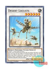 画像: 英語版 MP20-EN198 Desert Locusts 砂漠の飛蝗賊 (ノーマル) 1st Edition