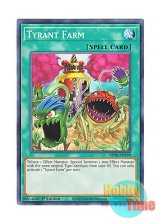 画像: 英語版 MP20-EN199 Tyrant Farm タイラント・プランテーション (ノーマル) 1st Edition