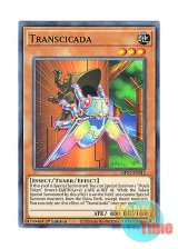 画像: 英語版 MP21-EN012 Transcicada トランシケーダ (ノーマル) 1st Edition