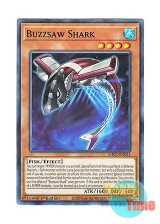 画像: 英語版 MP21-EN055 Buzzsaw Shark カッター・シャーク (ノーマル) 1st Edition