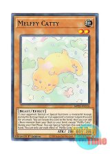 画像: 英語版 MP21-EN114 Melffy Catty メルフィー・キャシィ (ノーマル) 1st Edition