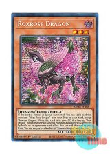 画像: 英語版 MP22-EN060 Roxrose Dragon ロクスローズ・ドラゴン (プリズマティックシークレットレア) 1st Edition