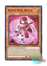 画像: 英語版 MP22-EN061 Ruddy Rose Witch 紅蓮薔薇の魔女 (レア) 1st Edition