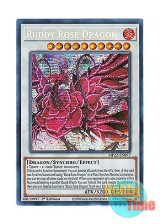 画像: 英語版 MP22-EN077 Ruddy Rose Dragon ブラッド・ローズ・ドラゴン (プリズマティックシークレットレア) 1st Edition