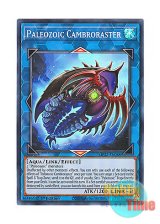 画像: 英語版 MP22-EN088 Paleozoic Cambroraster バージェストマ・カンブロラスター (スーパーレア) 1st Edition