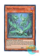 画像: 英語版 MP22-EN172 Baby Mudragon ドロゴン・ベビー (ウルトラレア) 1st Edition