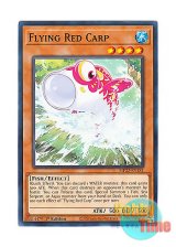 画像: 英語版 MP22-EN181 Flying Red Carp 飛鯉 (ノーマル) 1st Edition