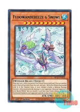 画像: 英語版 MP22-EN193 Floowandereeze & Snowl ふわんだりぃず×すのーる (レア) 1st Edition