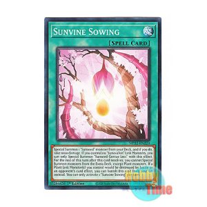 画像: 英語版 MP22-EN223 Sunvine Sowing 聖蔓の播種 (ノーマル) 1st Edition