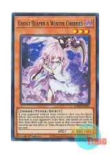 画像: 英語版 MP22-EN256 Ghost Reaper & Winter Cherries 浮幽さくら (スーパーレア) 1st Edition