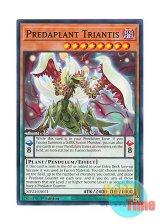 画像: 英語版 MP23-EN071 Predaplant Triantis 捕食植物トリアンティス (ノーマル) 1st Edition