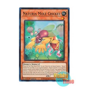 画像: 英語版 MP23-EN170 Naturia Mole Cricket ナチュル・モルクリケット (スーパーレア) 1st Edition