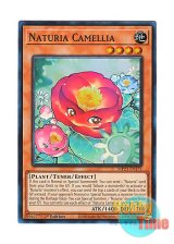 画像: 英語版 MP23-EN171 Naturia Camellia ナチュル・カメリア (スーパーレア) 1st Edition