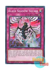 画像: 英語版 MP23-EN208 Black Shadow Squall ブラック・ノーブル (ノーマル) 1st Edition