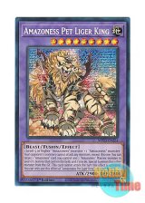 画像: 英語版 MP23-EN224 Amazoness Pet Liger King アマゾネスペット虎獅王 (プリズマティックシークレットレア) 1st Edition