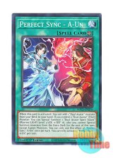 画像: 英語版 MP23-EN276 Perfect Sync - A-Un 阿吽の呼吸 (ノーマル) 1st Edition