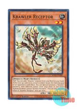 画像: 英語版 MP23-EN280 Krawler Receptor クローラー・レセプター (ノーマル) 1st Edition