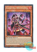 画像: 英語版 MP24-EN065 Kashtira Riseheart クシャトリラ・ライズハート (プリズマティックシークレットレア) 1st Edition