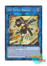 画像: 英語版 MP24-EN121 S:P Little Knight S：Pリトルナイト (プリズマティックシークレットレア) 1st Edition