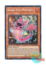 画像: 英語版 MP24-EN128 Snake-Eyes Poplar 蛇眼の炎燐 (プリズマティックシークレットレア) 1st Edition