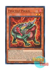 画像: 英語版 MP24-EN213 Evoltile Pholis エヴォルド・フォリス (ウルトラレア) 1st Edition