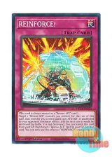 画像: 英語版 MP24-EN354 REINFORCE! REINFORCE！ (ノーマル) 1st Edition