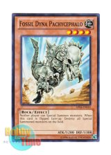 画像: 英語版 AP04-EN018 Fossil Dyna Pachycephalo フォッシル・ダイナ パキケファロ (ノーマル)