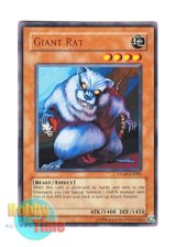 画像: 英語版 DL09-EN005 Giant Rat 巨大ネズミ (レア：ブロンズ)