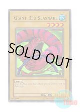 画像: 英語版 TP2-003 Giant Red Seasnake シーザリオン (スーパーレア)