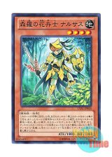 画像: 日本語版 LVAL-JP018 Sylvan Flowerknight 森羅の花卉士 ナルサス (ノーマル)