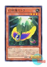 画像: 日本語版 LVAL-JP035 Mystic Macrocarpa Seed 幻妖種ミトラ (ノーマル)