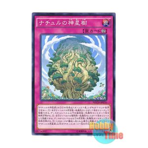 画像: 日本語版 NECH-JP076 Naturia Sacred Tree ナチュルの神星樹 (ノーマル)