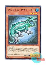 画像: 日本語版 DOCS-JP033 Graydle Alligator グレイドル・アリゲーター (ノーマル)